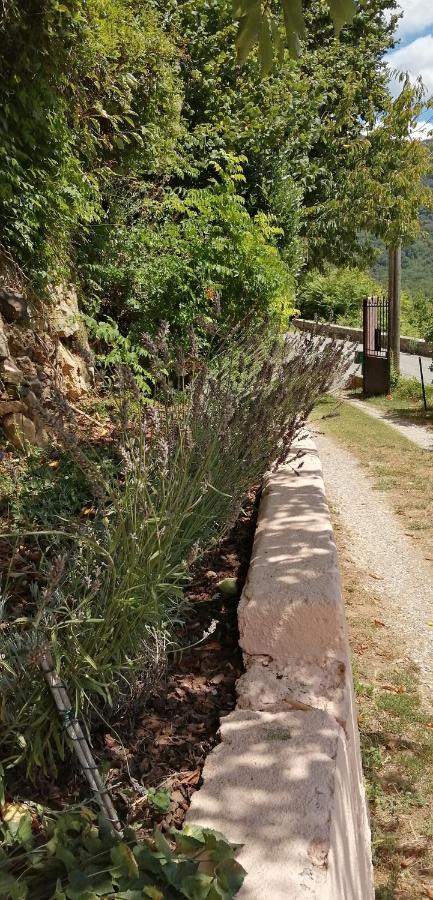 Mon Gite A Pelasque Lantosque Dış mekan fotoğraf
